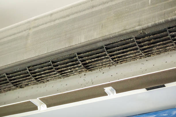 Affordable HVAC Duct Cleaning in NM
